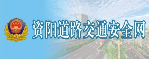 水屄资阳道路交通安全网